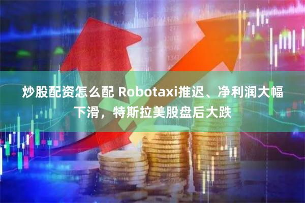 炒股配资怎么配 Robotaxi推迟、净利润大幅下滑，特斯拉美股盘后大跌