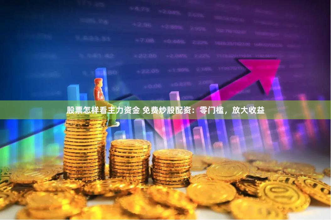 股票怎样看主力资金 免费炒股配资：零门槛，放大收益